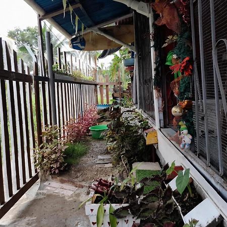 Hostal Cafe Axel Bocas Town Exterior photo
